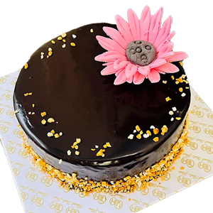 Chocolate Sunflower Cake