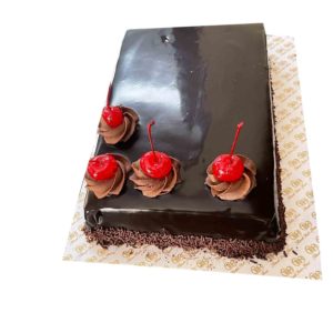 Chocolate Sponge with Chocolate chip cake
