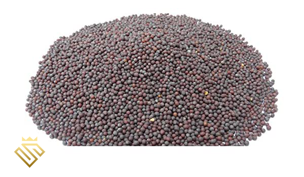 Mustard Seeds 250g