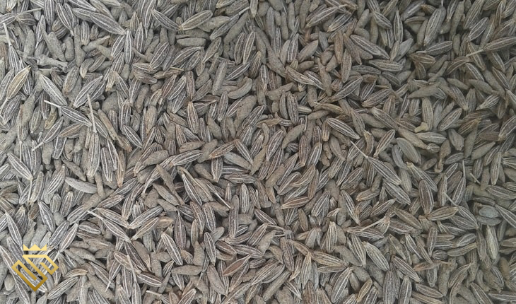 Cumin Seeds 300G