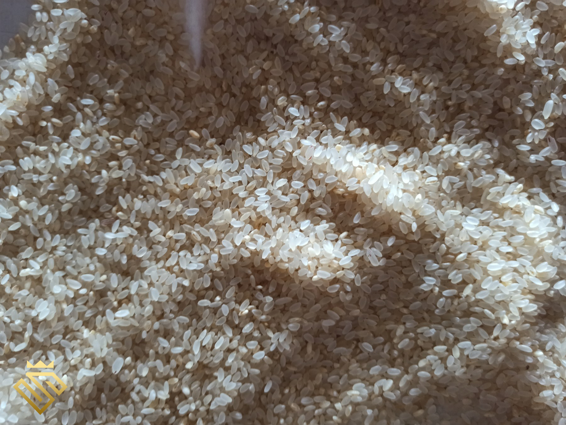 Samba Rice 10kg